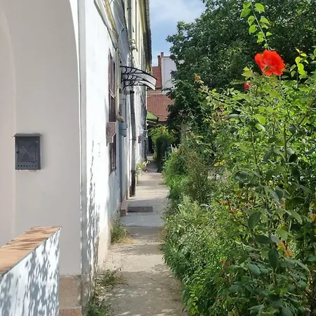 דירה Eroilor Downtown