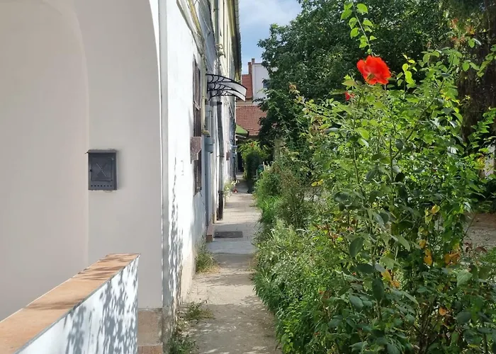 Apartamento Eroilor Downtown